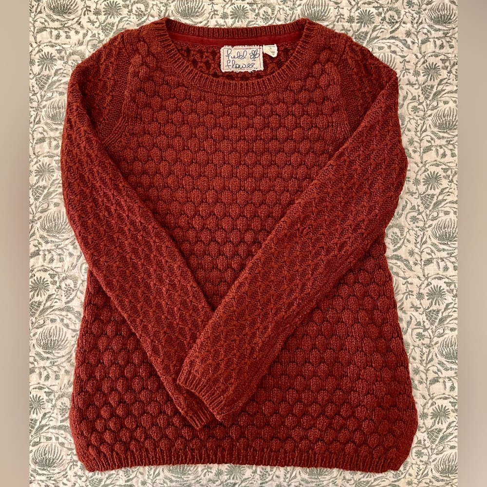 Anthropologie Field Flower Rust/Auburn Chunky Knit Pullover Sweater S